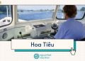 Hoa Tiêu
