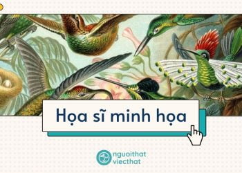 Họa sĩ minh họa