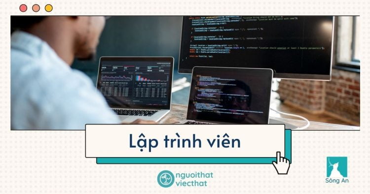Lập trình viên