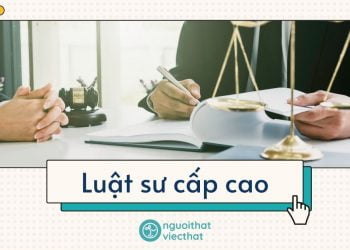 Luật sư cấp cao