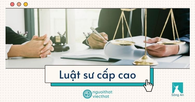 Luật sư cấp cao