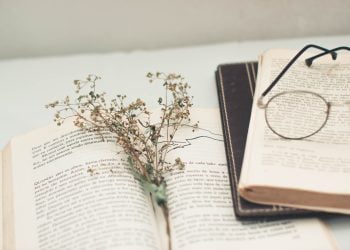 Ngành Sư phạm Ngữ văn