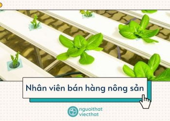 Nhân viên bán hàng nông sản