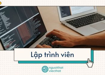 Senior Web Developer – Lập trình viên