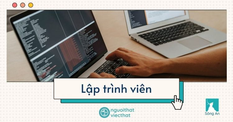 Senior Web Developer – Lập trình viên